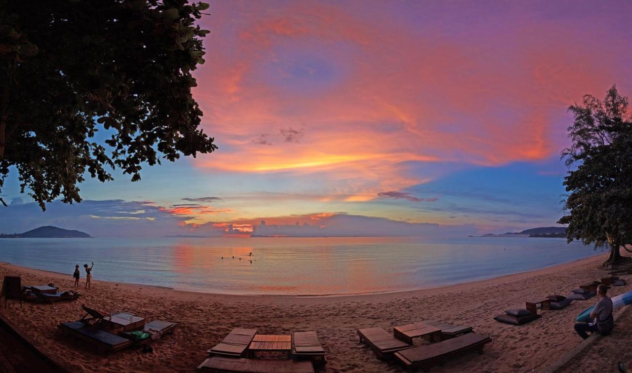 Satva Samui Yoga And Wellness Resort Amphoe Koksamui Buitenkant foto